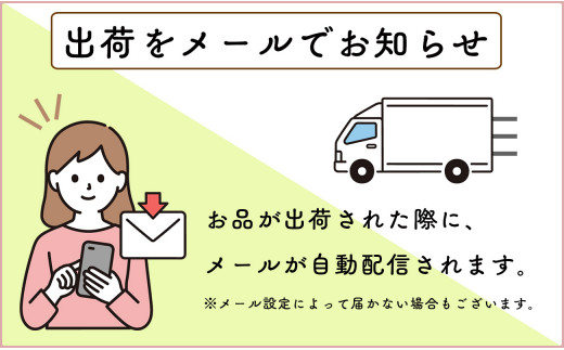 【年内発送！】牛肉＆鶏肉 佐賀の地元産お肉を2種楽しめる 佐賀牛小間切れ ありたどり塩ネギ セット 各300g 計600g  肉 佐賀牛 牛肉 おすすめ 1万円 年内お届け 年内配送 N10-66