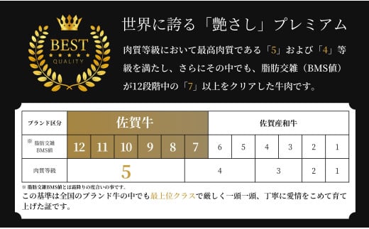 【年内発送！】牛肉＆鶏肉 佐賀の地元産お肉を2種楽しめる 佐賀牛小間切れ ありたどり塩ネギ セット 各300g 計600g  肉 佐賀牛 牛肉 おすすめ 1万円 年内お届け 年内配送 N10-66