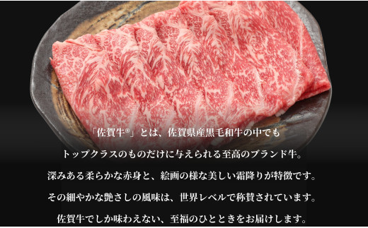 【年内発送！】牛肉＆鶏肉 佐賀の地元産お肉を2種楽しめる 佐賀牛小間切れ ありたどり塩ネギ セット 各300g 計600g  肉 佐賀牛 牛肉 おすすめ 1万円 年内お届け 年内配送 N10-66