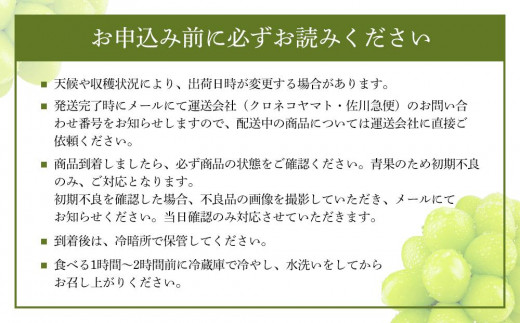 CN90【定期便 全3回／2025年7・8・9月発送】岡山県産 シャインマスカット 晴王 2房 約1.2kg ｜3回定期便  ７月・８月・９月に１回づつお届け 種無し 皮ごと食べる フレッシュ 先行受付 ハレノスイーツ