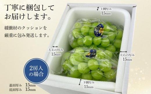 CN90【定期便 全3回／2025年7・8・9月発送】岡山県産 シャインマスカット 晴王 2房 約1.2kg ｜3回定期便  ７月・８月・９月に１回づつお届け 種無し 皮ごと食べる フレッシュ 先行受付 ハレノスイーツ