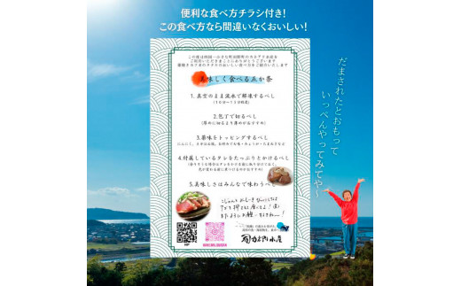 ～四国一小さなまち～ ★訳あり★ 高知県産カツオのわら焼きタタキ（自家製タレ付）1kg 4ヶ月定期便 1節約300g かつお 鰹 鰹のたたき 藁焼き 刺身 さしみ 惣菜 おかず 海鮮 魚介類