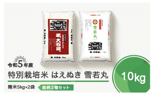 令和6年5月上旬発送 はえぬき 雪若丸 各5kg 計10kg 精米  令和5年産