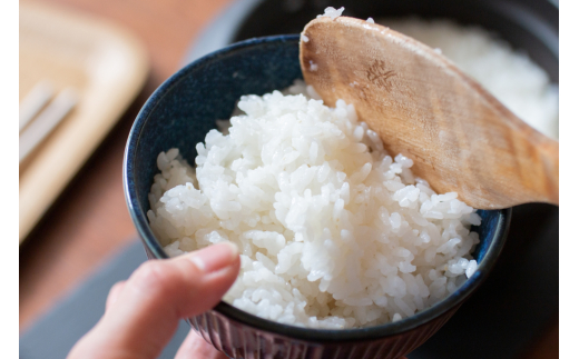 令和6年5月上旬発送 はえぬき 雪若丸 各5kg 計10kg 精米  令和5年産