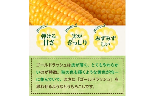 【2025年分先行予約】北海道十勝芽室町　とかち晴れ　十勝めむろスイートコーン 13本入り　me010-005c-25