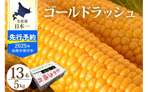 【2025年分先行予約】北海道十勝芽室町　とかち晴れ　十勝めむろスイートコーン 13本入り　me010-005c-25