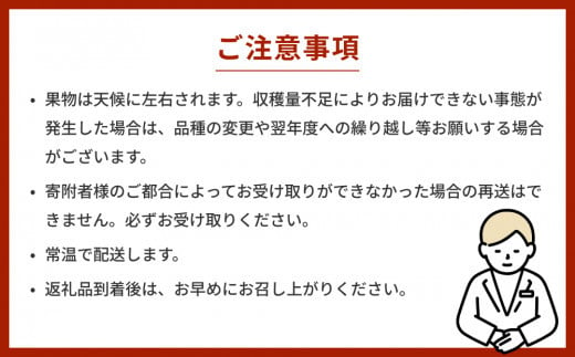 【先行予約】令和7年産【新高】なかしま農園の 梨 5kg 梨 にいたか フルーツ  玖珠町  新高 甘さ 上品 旬 果物 くだもの 秋発送 中島さん プロ 手塩 日光 太陽 収穫 令和6年 果樹 梨づくり 美味しい