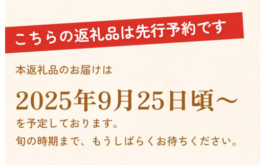 【先行予約】令和7年産【新高】なかしま農園の 梨 5kg 梨 にいたか フルーツ  玖珠町  新高 甘さ 上品 旬 果物 くだもの 秋発送 中島さん プロ 手塩 日光 太陽 収穫 令和6年 果樹 梨づくり 美味しい