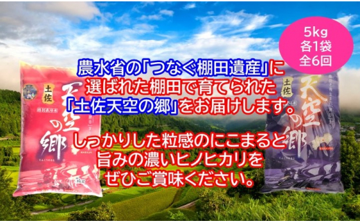 農林水産省の「つなぐ棚田遺産」に選ばれた棚田で育てられた 棚田米 土佐天空の郷 5kg食べくらべセット定期便 毎月お届け 全6回