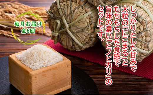 農林水産省の「つなぐ棚田遺産」に選ばれた棚田で育てられた 棚田米 土佐天空の郷 5kg食べくらべセット定期便 毎月お届け 全6回