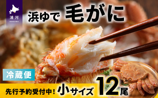 北海道浦河沖で水揚げした旬の「毛がに」は身入りもよく味も抜群です！