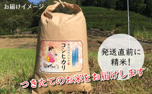 【玄米】【令和7年度産・先行受付】令和7年産 コシヒカリ 5kg 米 岐阜県 東白川村産 選べる 精米度合い 精米 新米 白米 五分付き 五分つき米 五分精米 玄米 お米 こめ 精米 ご飯 おにぎり 食物繊維 低GI 返礼品 ふるさと納税 9000円