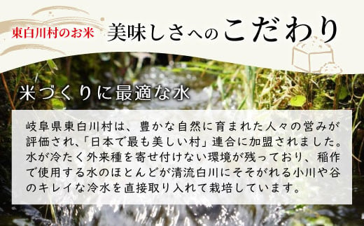 【玄米】【令和7年度産・先行受付】令和7年産 コシヒカリ 5kg 米 岐阜県 東白川村産 選べる 精米度合い 精米 新米 白米 五分付き 五分つき米 五分精米 玄米 お米 こめ 精米 ご飯 おにぎり 食物繊維 低GI 返礼品 ふるさと納税 9000円