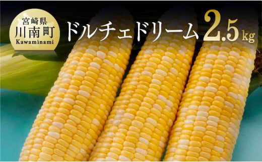 【令和7年発送】朝どれ！守部さんちのドルチェドリーム2.5kg【 とうもろこし スイートコーン トウモロコシ スィートコーン 令和7年発送 先行予約 数量限定 期間限定 】