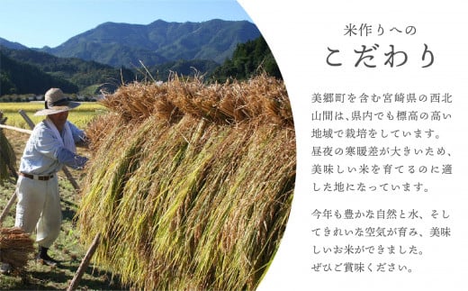 令和5年度産 米 宮崎特選米（ひむか米） ひのひかり 5kg [宮崎県農業協同組合 八菜館ひゅうが店 宮崎県 美郷町 31ap0008] 宮崎県産 産 白米 精米 ヒノヒカリ 九州産 送料無料