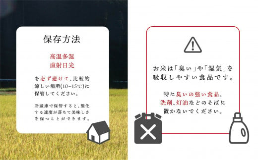 令和5年度産 米 宮崎特選米（ひむか米） ひのひかり 5kg [宮崎県農業協同組合 八菜館ひゅうが店 宮崎県 美郷町 31ap0008] 宮崎県産 産 白米 精米 ヒノヒカリ 九州産 送料無料