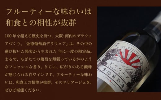 金徳葡萄酒　デラウエア 750ml×1本 750ml×1本 株式会社河内ワイン《30日以内に出荷予定(土日祝除く)》アルコール ワイン 酒 大阪府 羽曳野市