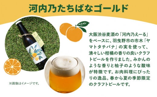 予約商品 たちばなゴールド （クラフトビール） 330ml 6本セット 大阪渋谷麦酒《3月上旬-8月下旬頃出荷(土日祝除く)》大阪府 羽曳野市 クラフトビール ビール アルコール 橘 たちばな