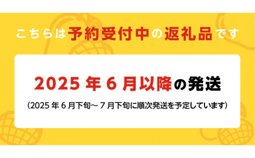 くるめで育った完熟マンゴー(3～5個：約1.8kg)_先行予約！贈答用 トロ～ッと口のなかでとろける くるめで育った 完熟マンゴー 3個 ～ 5個 約 1.8kg 甘い 子供も安心 2025年 6月より 順次お届け フルーツ  果物 マンゴー 完熟 国産 冷蔵 クール便 倉重農園 お取り寄せ 福岡県 久留米市 送料無料_Fm012