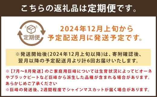 【定期便 6回コース】時津の果物定期便 みかんとぶどうの町から贈る 特産品の定期便