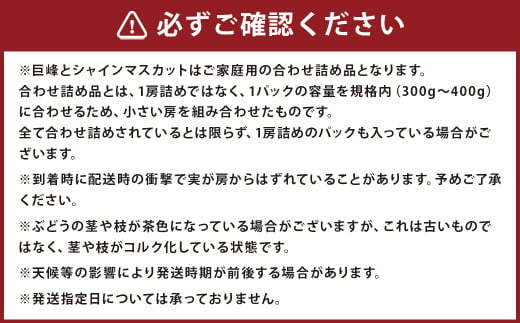 【定期便 6回コース】時津の果物定期便 みかんとぶどうの町から贈る 特産品の定期便