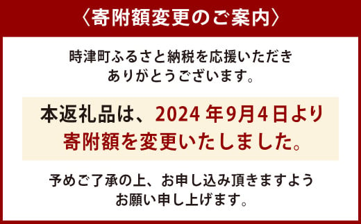 【定期便 6回コース】時津の果物定期便 みかんとぶどうの町から贈る 特産品の定期便