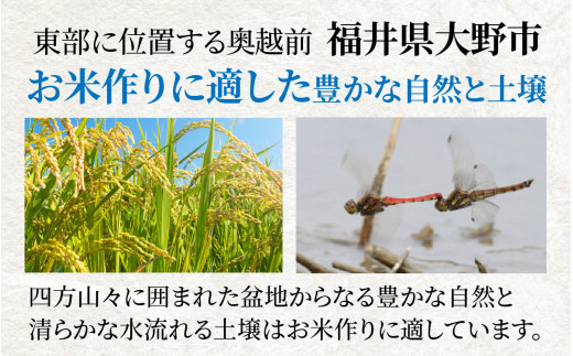 【12ヶ月定期便】【令和6年産 新米】大野産コシヒカリ（白米）10kg×12回 計120kg【大野ブランド米 名水育ち】