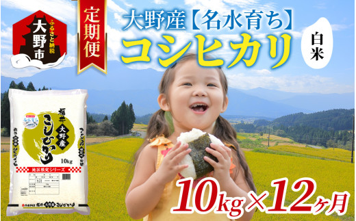 【12ヶ月定期便】【令和6年産 新米】大野産コシヒカリ（白米）10kg×12回 計120kg【大野ブランド米 名水育ち】