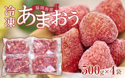 福岡産冷凍あまおう500g×4袋【いちご イチゴ 苺 果物 フルーツ あまおう 博多あまおう 冷凍あまおう 冷凍 福岡産  アイス 贅沢 お菓子 菓子 おかし デザート パフェ ヨーグルト ジャム ソース ババロア ムース スムージー かき氷 シャーベット 冷凍食品 人気 おすすめ 福岡県 大任町 ふるさと納税 送料無料 AH005】