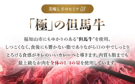 無添加【但馬牛濃厚とろすじカレー】(小箱入り175g×3箱)　 ふるさと納税 但馬牛 カレー 濃厚 とろすじ 無添加 飛燕 レ・ジロンデル 京都府 福知山市