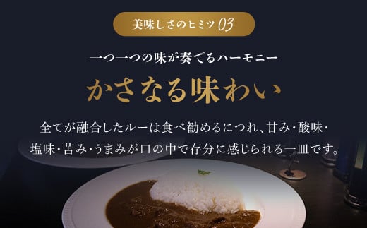 無添加【但馬牛濃厚とろすじカレー】(小箱入り175g×3箱)　 ふるさと納税 但馬牛 カレー 濃厚 とろすじ 無添加 飛燕 レ・ジロンデル 京都府 福知山市