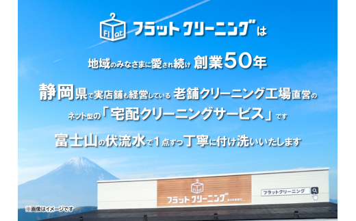 フラットクリーニング　10点保管パック利用券