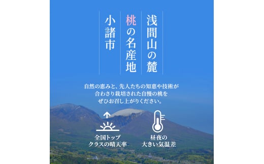 ふるさと納税 2024年発送 先行予約 浅間水蜜桃 みつおかの もも なつっこ 秀品 約2kg 5～9玉 果物 桃 フルーツ[№5915-1251]