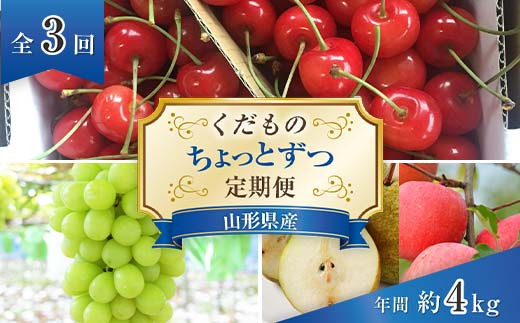 【令和6年産先行予約】 《定期便3回》 くだもの”ちょっとずつ”定期便 『南陽中央青果市場』 山形県 南陽市 [1013-R6]