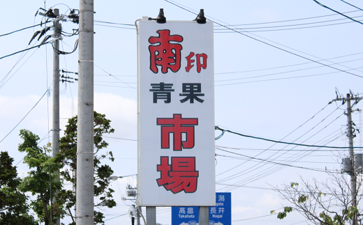 【令和6年産先行予約】 《定期便3回》 くだもの”ちょっとずつ”定期便 『南陽中央青果市場』 山形県 南陽市 [1013-R6]