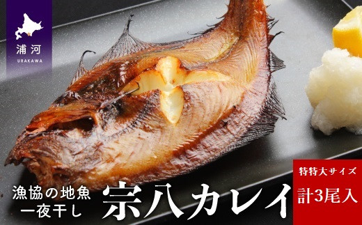 白身魚ならではの上品な淡白さの中にも、宗八カレイならではの濃厚な旨みをお楽しみいただけます。