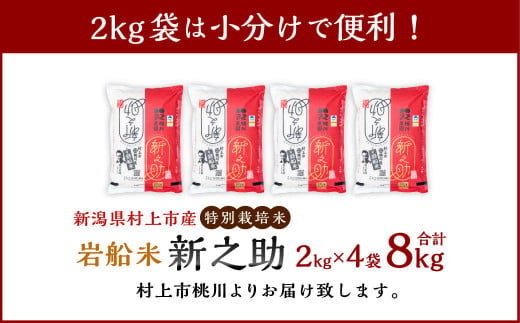 【令和6年産米】 AB4037 【精米即日発送】村上市桃川産 特別栽培米 新之助 8kg