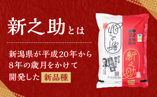 【令和6年産米】 AB4037 【精米即日発送】村上市桃川産 特別栽培米 新之助 8kg