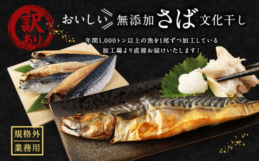 【訳あり規格外】  業務用 無添加 さば文化干し どーんと! 3kg 鯖 さば 干物 魚