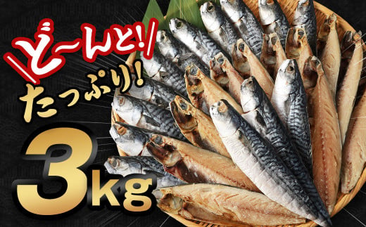 【訳あり規格外】  業務用 無添加 さば文化干し どーんと! 3kg 鯖 さば 干物 魚