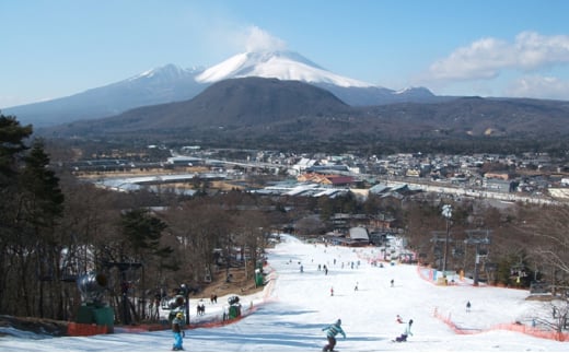 【軽井沢プリンスホテルスキー場】リフト1日券×4枚（シーズン期間中有効）※2024年11月1日（金）～2025年3月31日 (月) [№5328-0152]