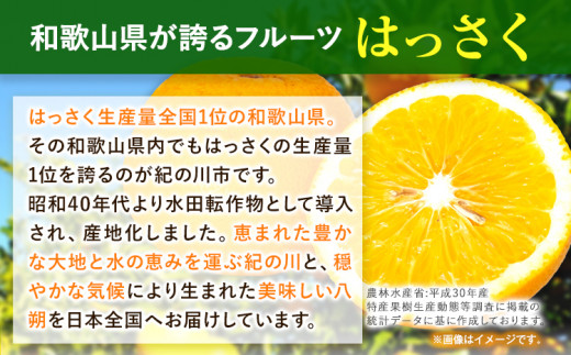 はっさく 八朔 和歌山産 手剥き八朔 缶詰 450g×8缶 入 日高町厳選館《90日以内に発送予定(土日祝除く)》和歌山県 日高町 贈り物 ギフト 柑橘 みかん ハッサク 缶詰