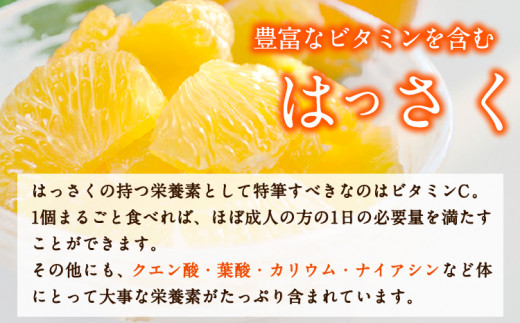 はっさく 八朔 和歌山産 手剥き八朔 缶詰 450g×8缶 入 日高町厳選館《90日以内に発送予定(土日祝除く)》和歌山県 日高町 贈り物 ギフト 柑橘 みかん ハッサク 缶詰