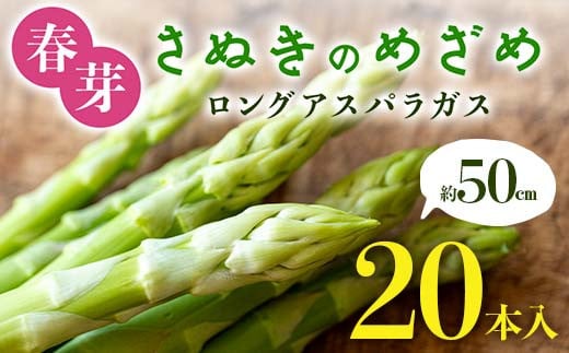 春芽 さぬきのめざめ 約50㎝ロングアスパラガス 20本入り アスパラ サラダ お弁当 おかず フレッシュ 新鮮 琴平 香川 F5J-763