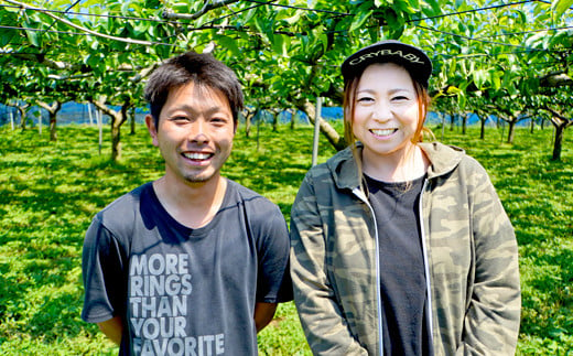 ＼数量限定／ 幸水 5㎏ 土屋梨園 申込受付中 なし ナシ みずみずしい 千葉県産 期間限定 8月上旬から順次発送