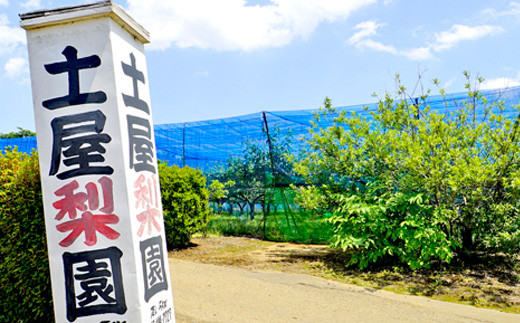 ＼数量限定／ 幸水 5㎏ 土屋梨園 申込受付中 なし ナシ みずみずしい 千葉県産 期間限定 8月上旬から順次発送