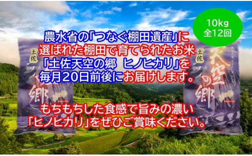 農林水産省の「つなぐ棚田遺産」に選ばれた棚田で育てられた 土佐天空の郷 ヒノヒカリ10kg 定期便 　毎月お届け　全12回