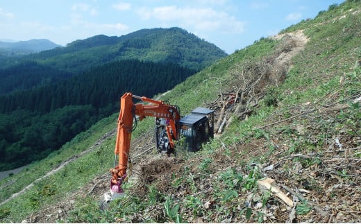 広葉樹プレミアムミックス薪　約20Ｋｇ×10(約200ｋｇ)【薪 キャンプ アウトドア 秋田県 小坂町】