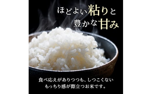 米 定期便 12カ月 無洗米 ゆめぴりか ホクレンゆめぴりか 2kg × 3 チャック付袋 お米 コメ こめ おこめ 6キロ 白米 北海道 道産 国産 特A ごはん ご飯 おかず おにぎり お取り寄せ