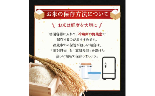 米 定期便 12カ月 無洗米 ゆめぴりか ホクレンゆめぴりか 2kg × 3 チャック付袋 お米 コメ こめ おこめ 6キロ 白米 北海道 道産 国産 特A ごはん ご飯 おかず おにぎり お取り寄せ